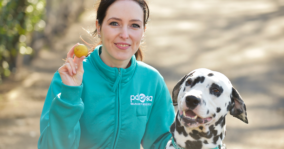 Dog ate hot sale golf ball