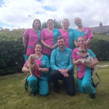 PDSA staff in their uniform pose with two dogs