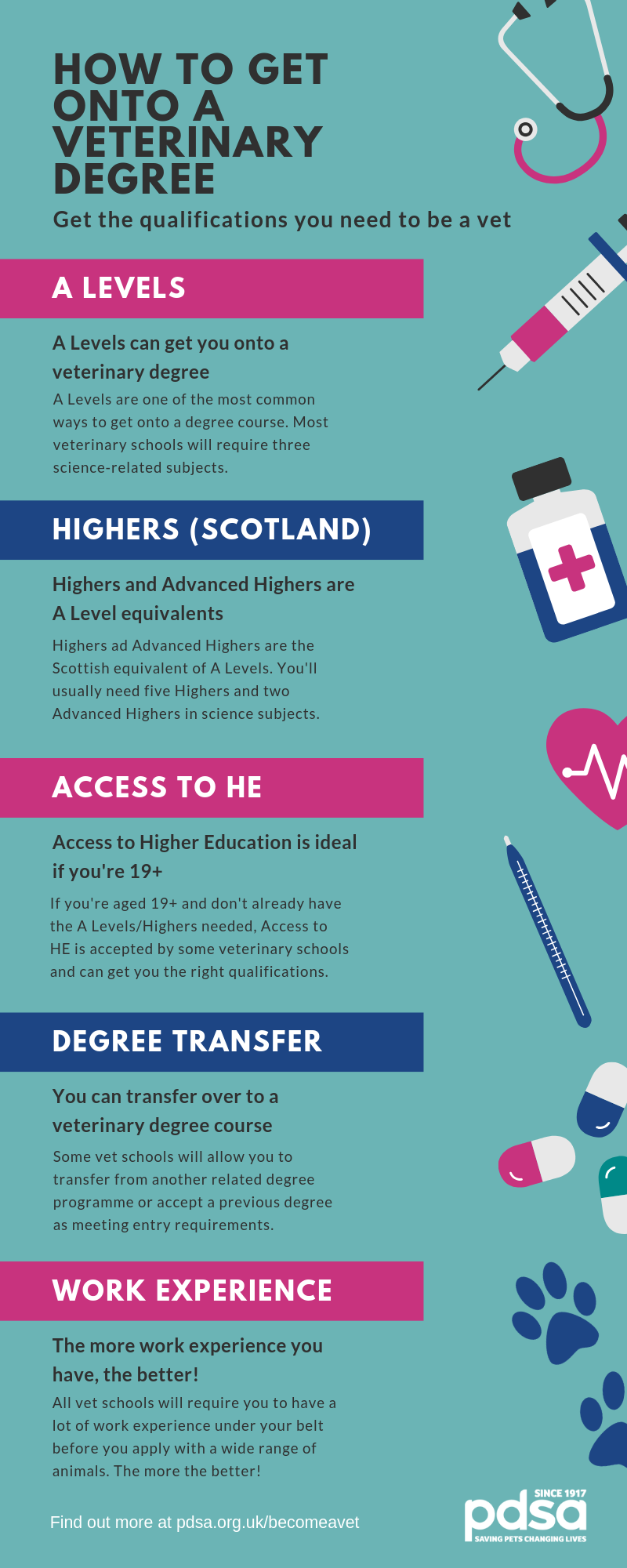 Infographic to show the qualifications that will get you onto a veterinary medicine degree