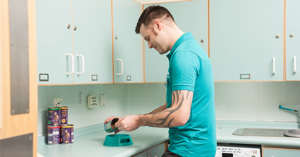 Volunteering in our Pet Hospitals PDSA