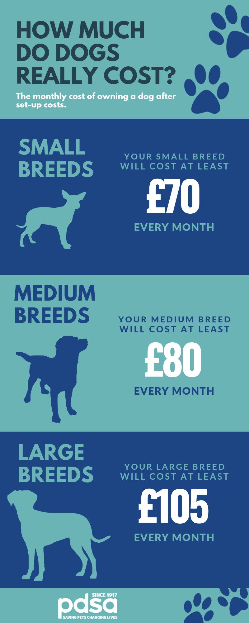 The cost of owning a dog PDSA