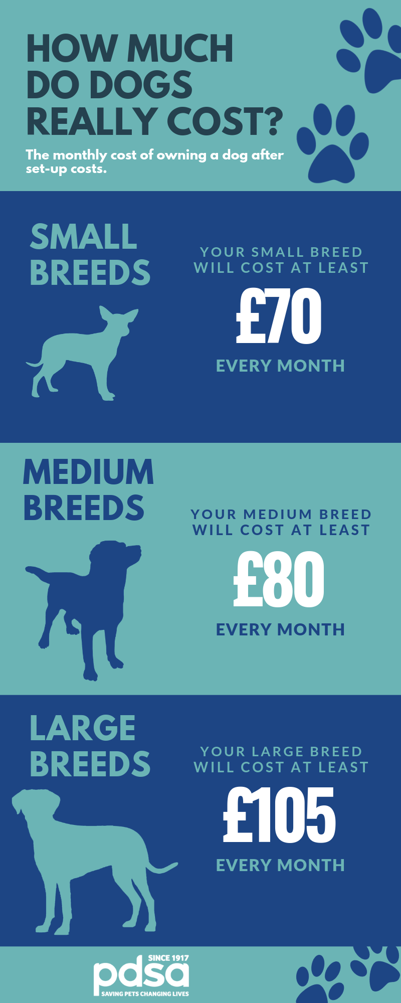 The cost of owning a dog - PDSA