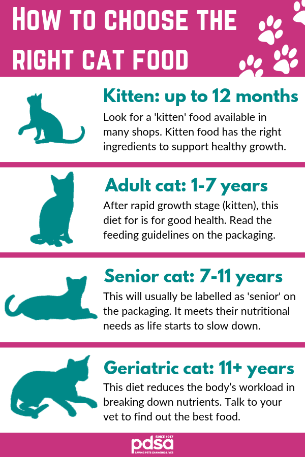 best nutrition for cats