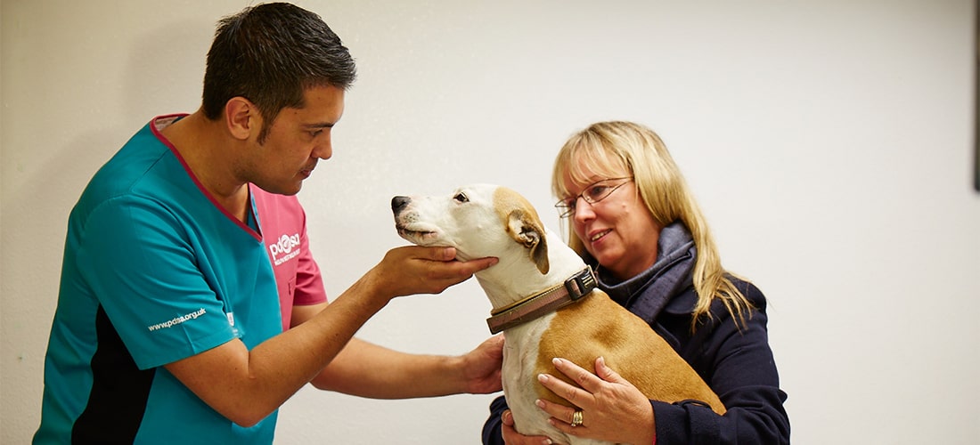 vet woman and dog