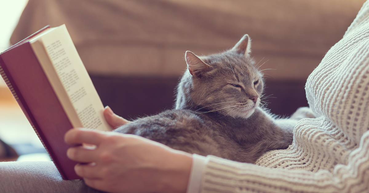 PDSA Pet Insurance Customer Information PDSA