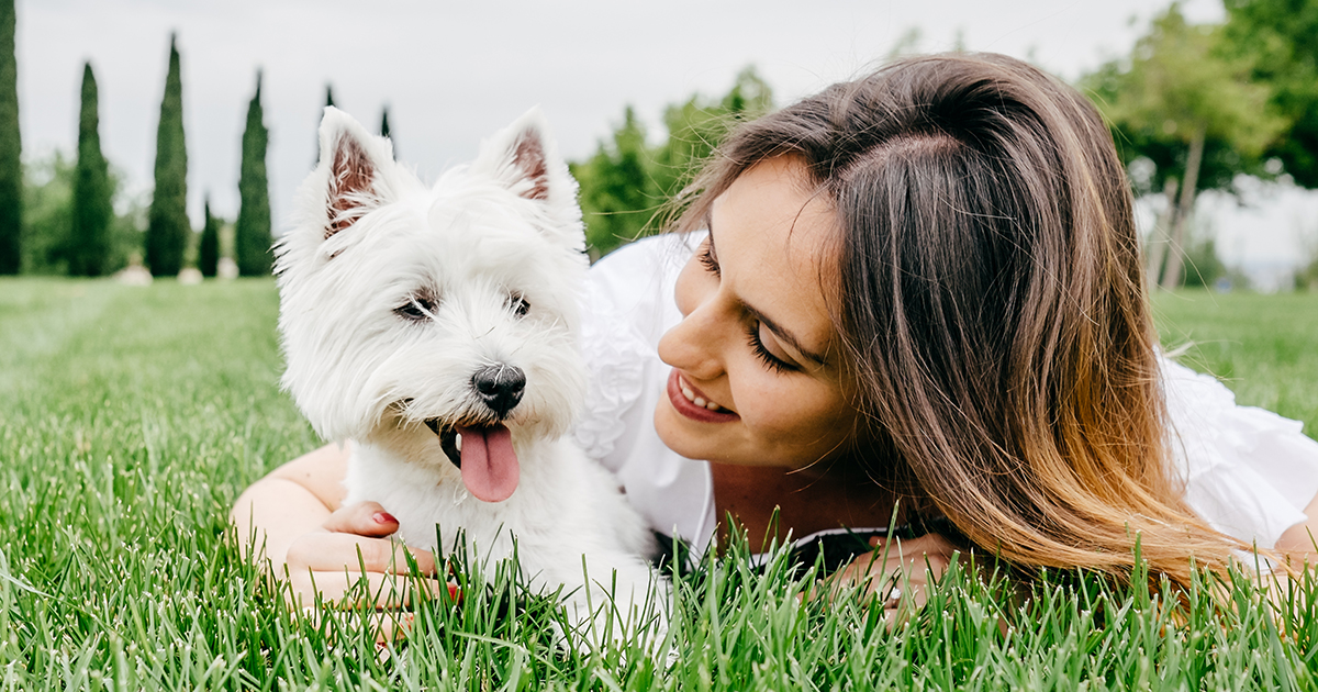 PDSA Pet Insurance Policies Explained Covers To Suit Your Budget PDSA