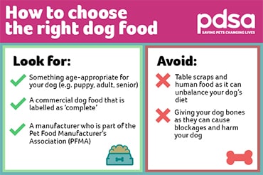 dog food like orijen