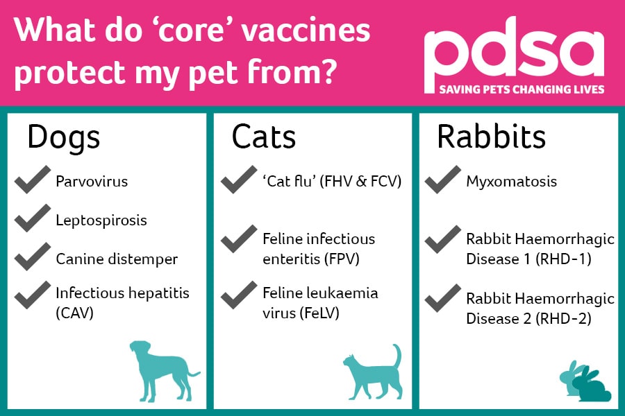 dog travel vaccinations