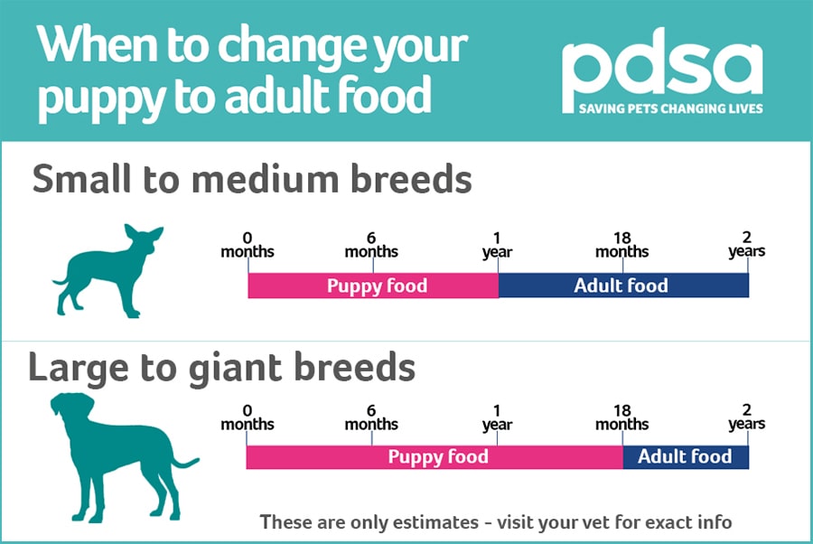 how much should i feed my puppy uk