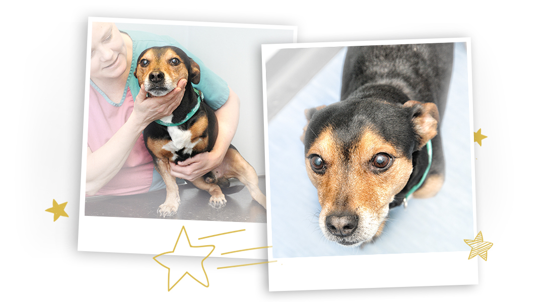 Polaroids of Flash during his hospital visit