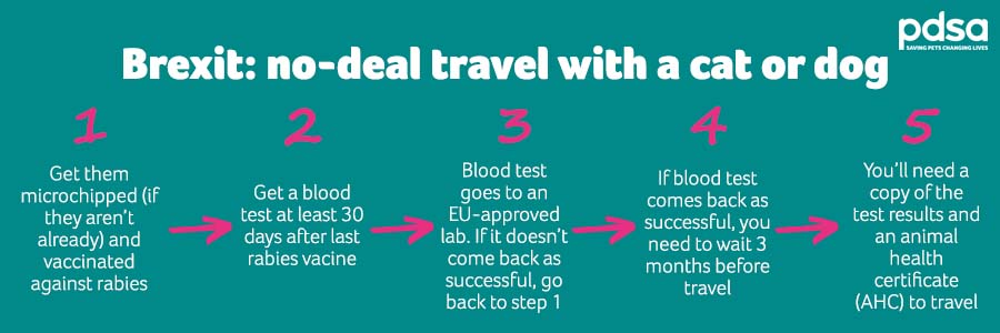 No deal travel advice infographic