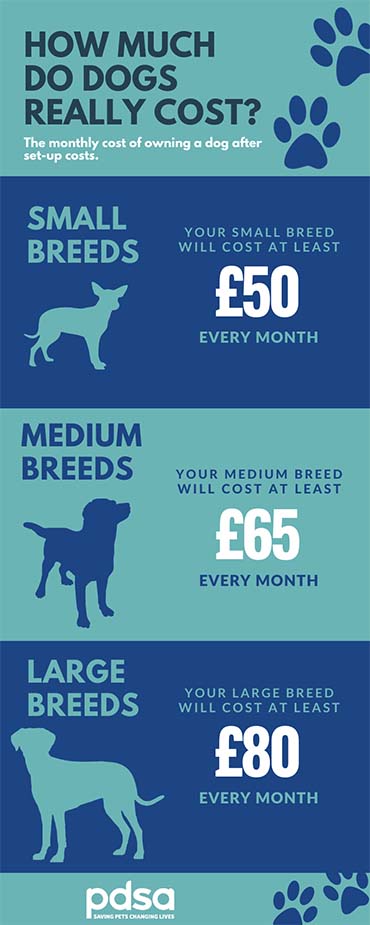 how much does it cost to maintain a dog