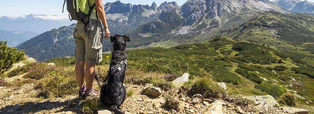 Dog and owner hiking