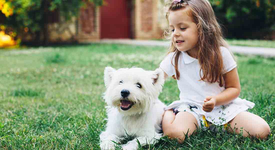 Westie and child sitting on grass