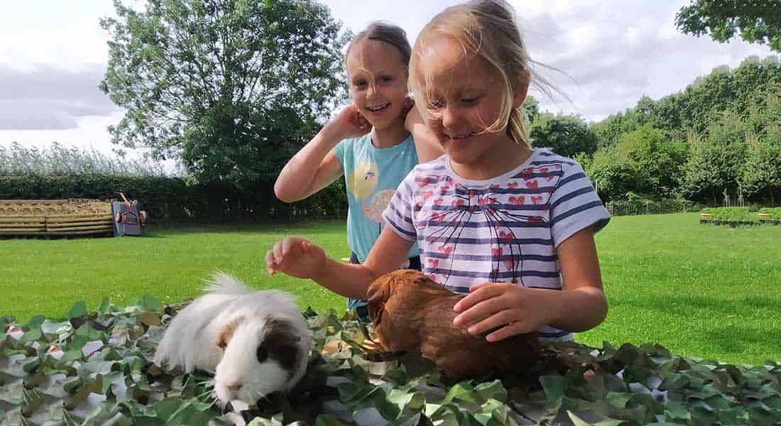 Children with guinea pigs
