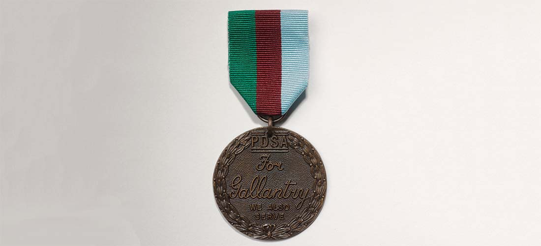 PDSA Dickin Medal