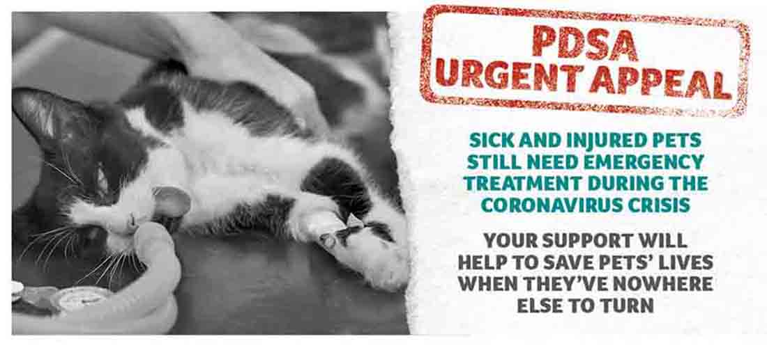 PDSA urgent appeal