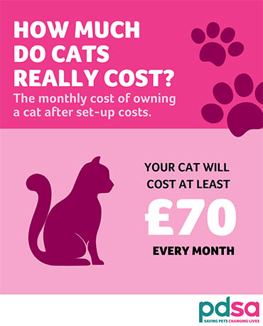 The cost of owning a cat - PDSA