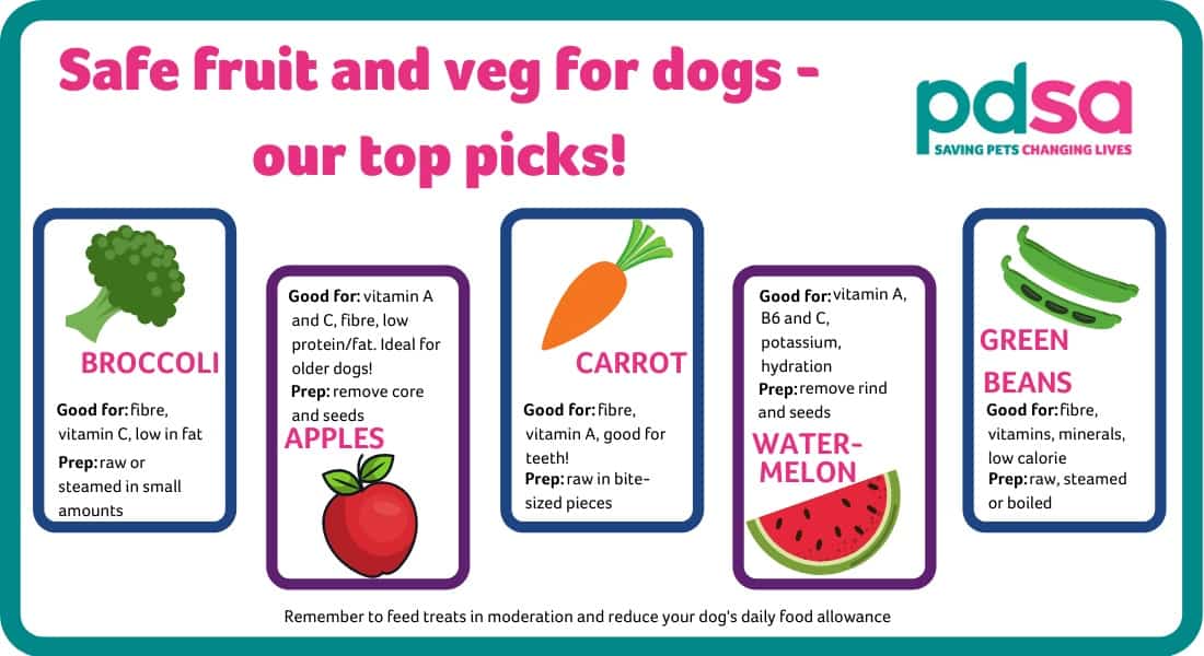 natural food to feed dogs