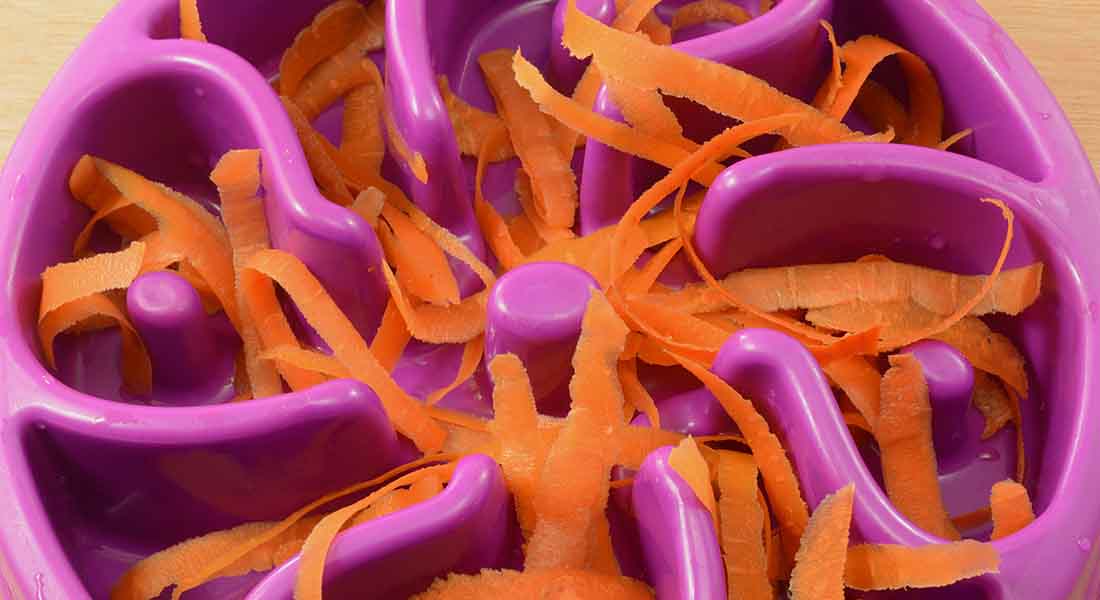 Carrot peelings in slow feeder