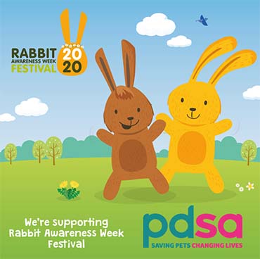 RAW/PDSA logo